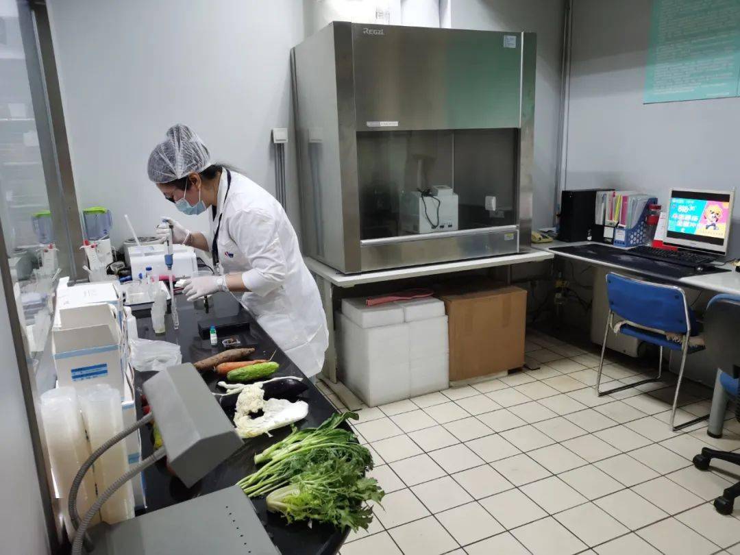 中宁食品检测实验室装修方案